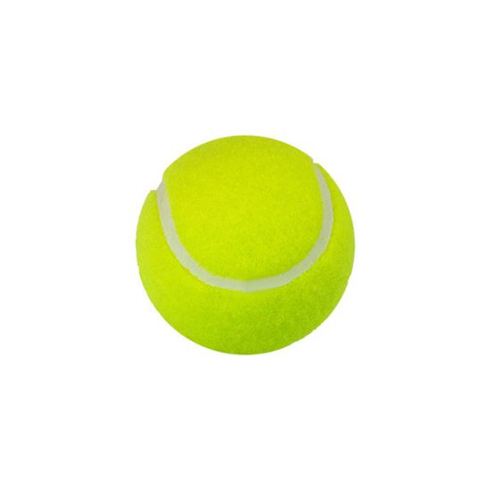 图片 Professional Training Tennis Balls Elasticity Practice Ball 25 Group