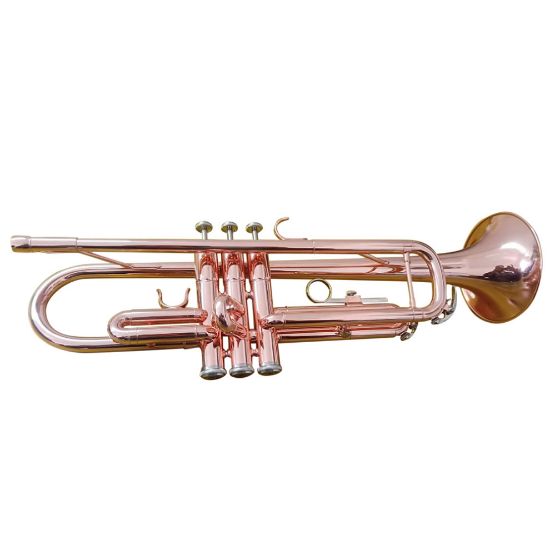 图片 Zest Alto Rose Gold and Silver plated keys Trumpet with Case